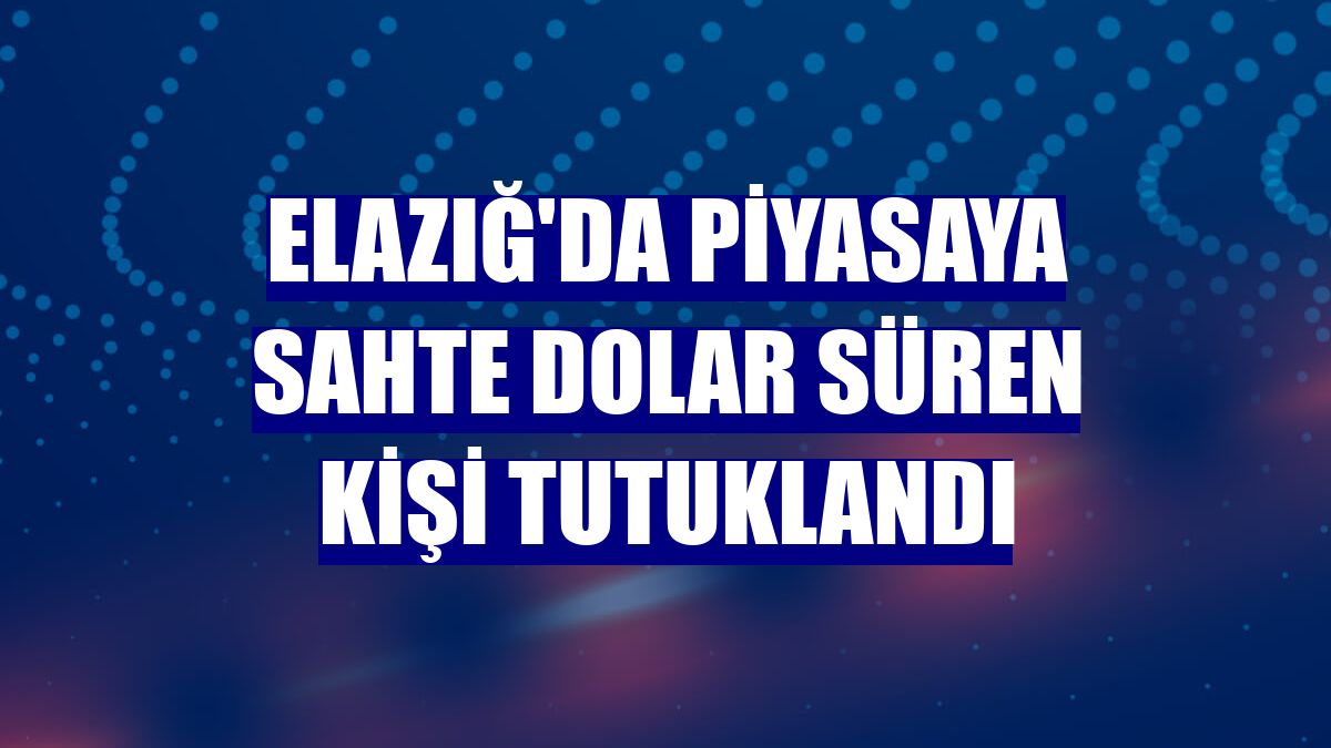 Elazığ'da piyasaya sahte dolar süren kişi tutuklandı