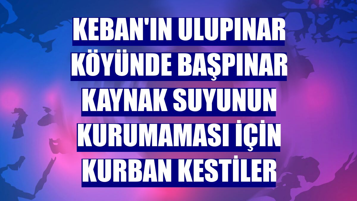 Keban'ın Ulupınar köyünde Başpınar kaynak suyunun kurumaması için kurban kestiler