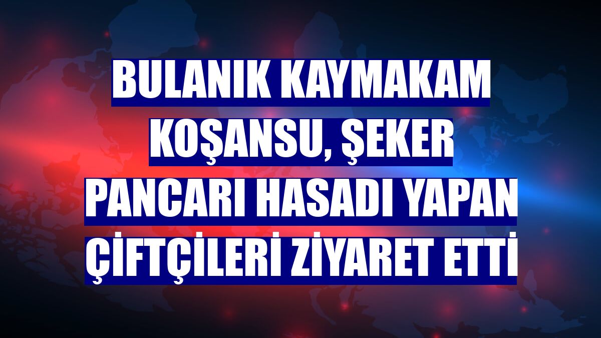 Bulanık Kaymakam Koşansu, Şeker Pancarı hasadı yapan çiftçileri ziyaret etti