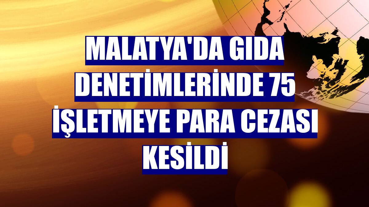 Malatya'da gıda denetimlerinde 75 işletmeye para cezası kesildi