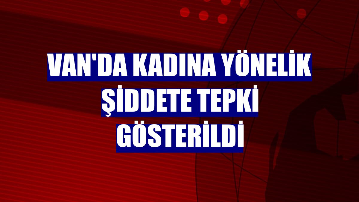 Van'da kadına yönelik şiddete tepki gösterildi