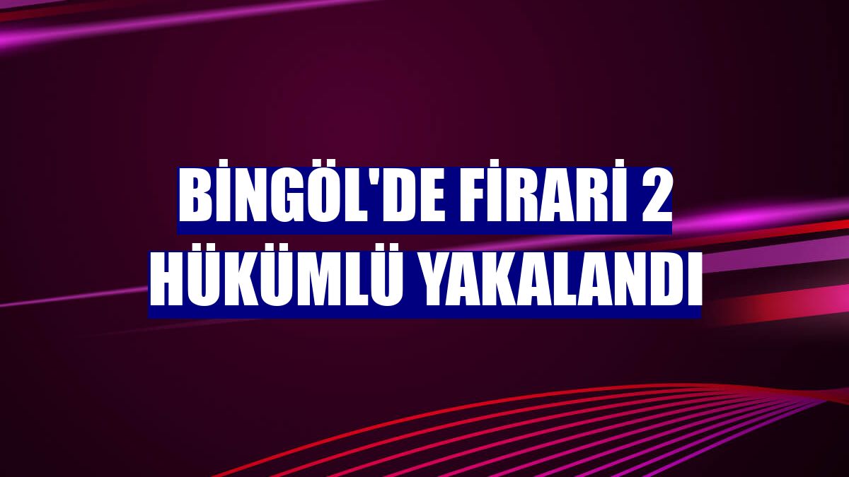 Bingöl'de firari 2 hükümlü yakalandı