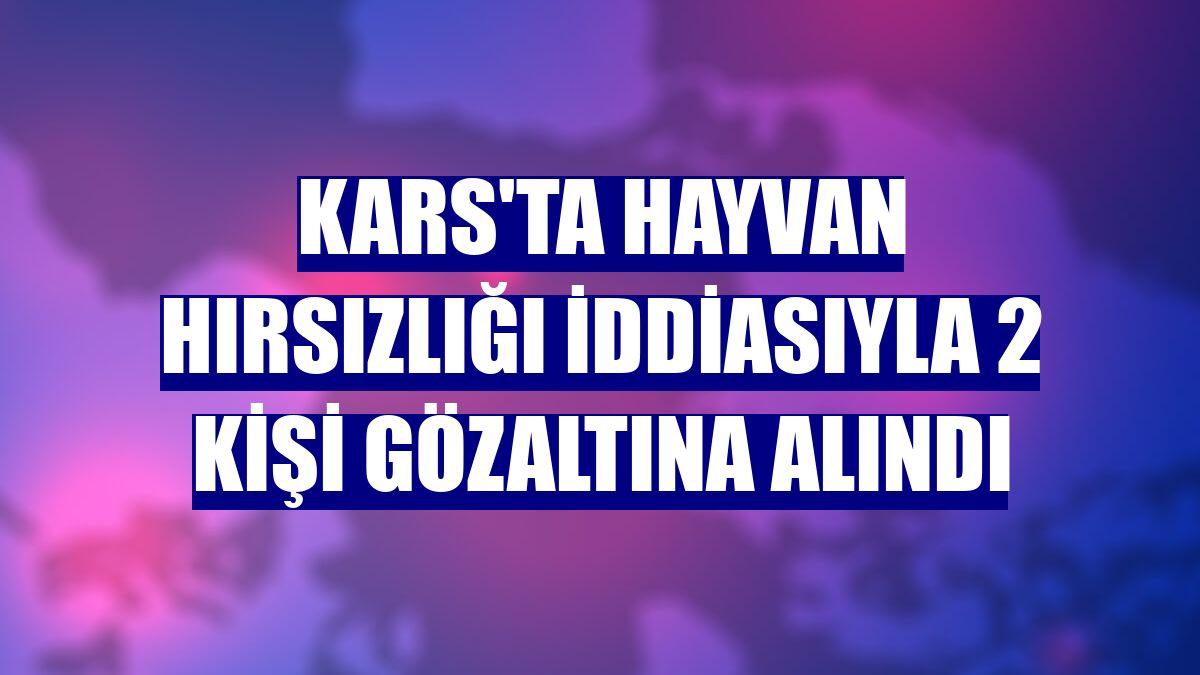 Kars'ta hayvan hırsızlığı iddiasıyla 2 kişi gözaltına alındı