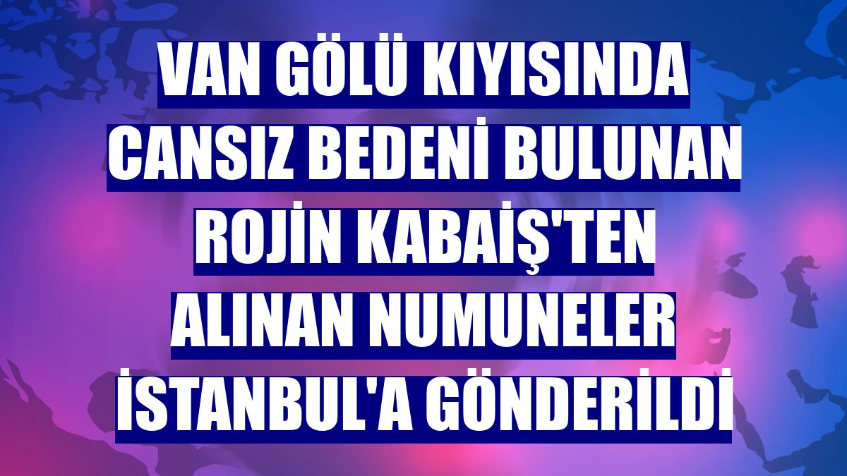 Van Gölü kıyısında cansız bedeni bulunan Rojin Kabaiş'ten alınan numuneler İstanbul'a gönderildi