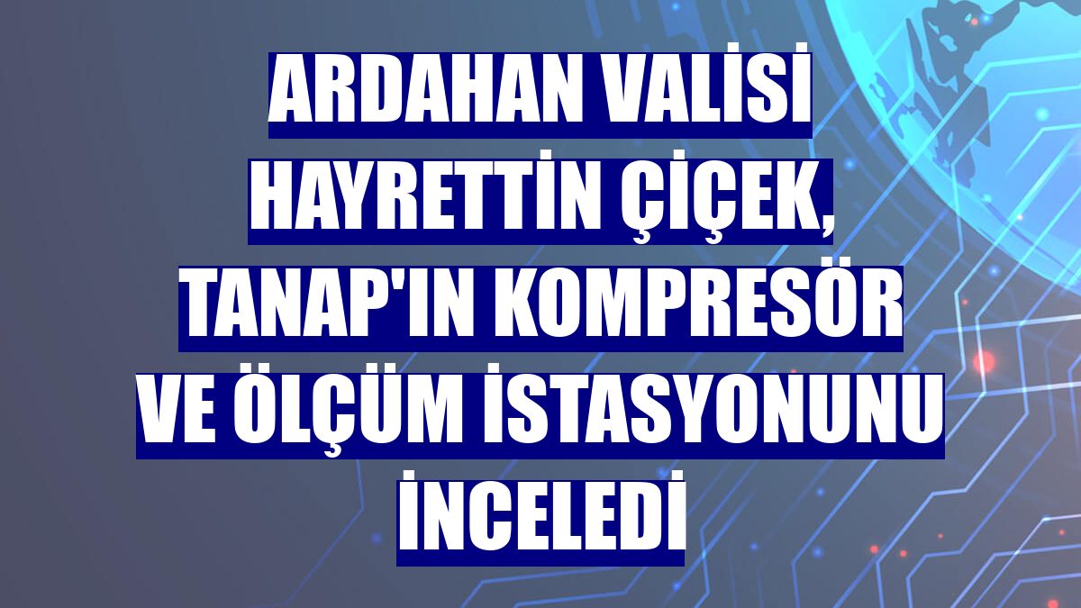 Ardahan Valisi Hayrettin Çiçek, TANAP'ın kompresör ve ölçüm istasyonunu inceledi