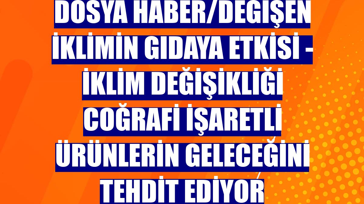 DOSYA HABER/DEĞİŞEN İKLİMİN GIDAYA ETKİSİ - İklim değişikliği coğrafi işaretli ürünlerin geleceğini tehdit ediyor