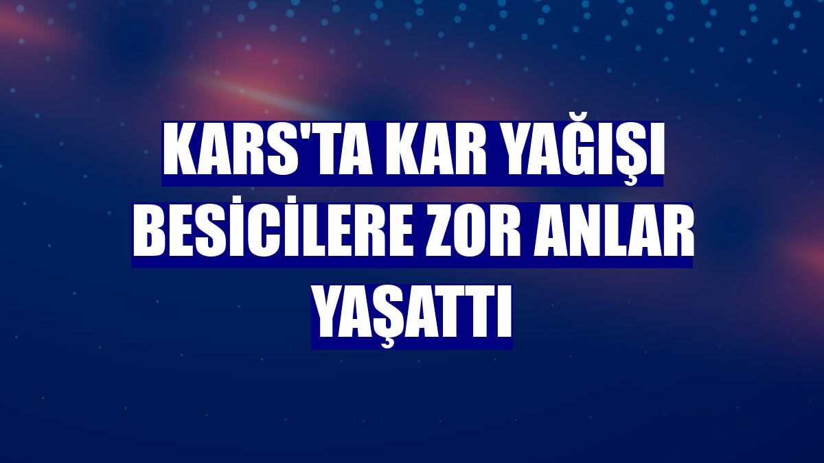 Kars'ta kar yağışı besicilere zor anlar yaşattı