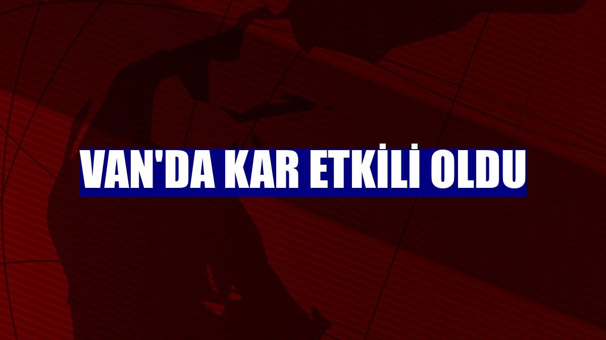 Van'da kar etkili oldu