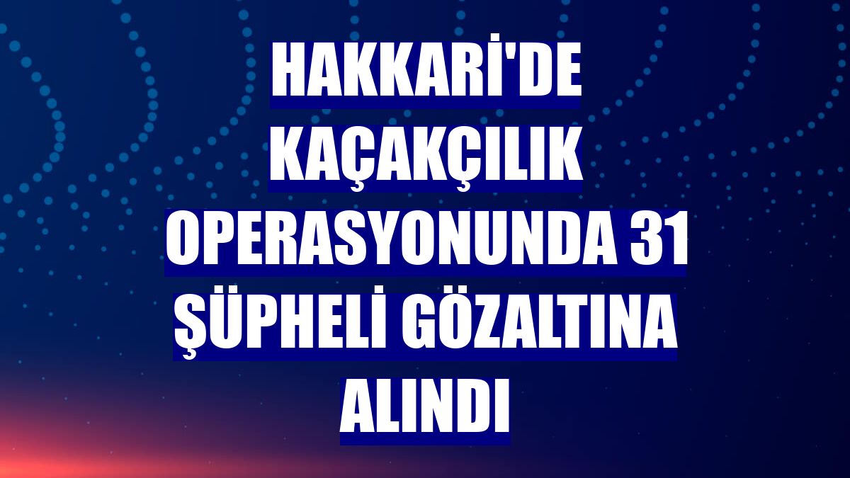 Hakkari'de kaçakçılık operasyonunda 31 şüpheli gözaltına alındı