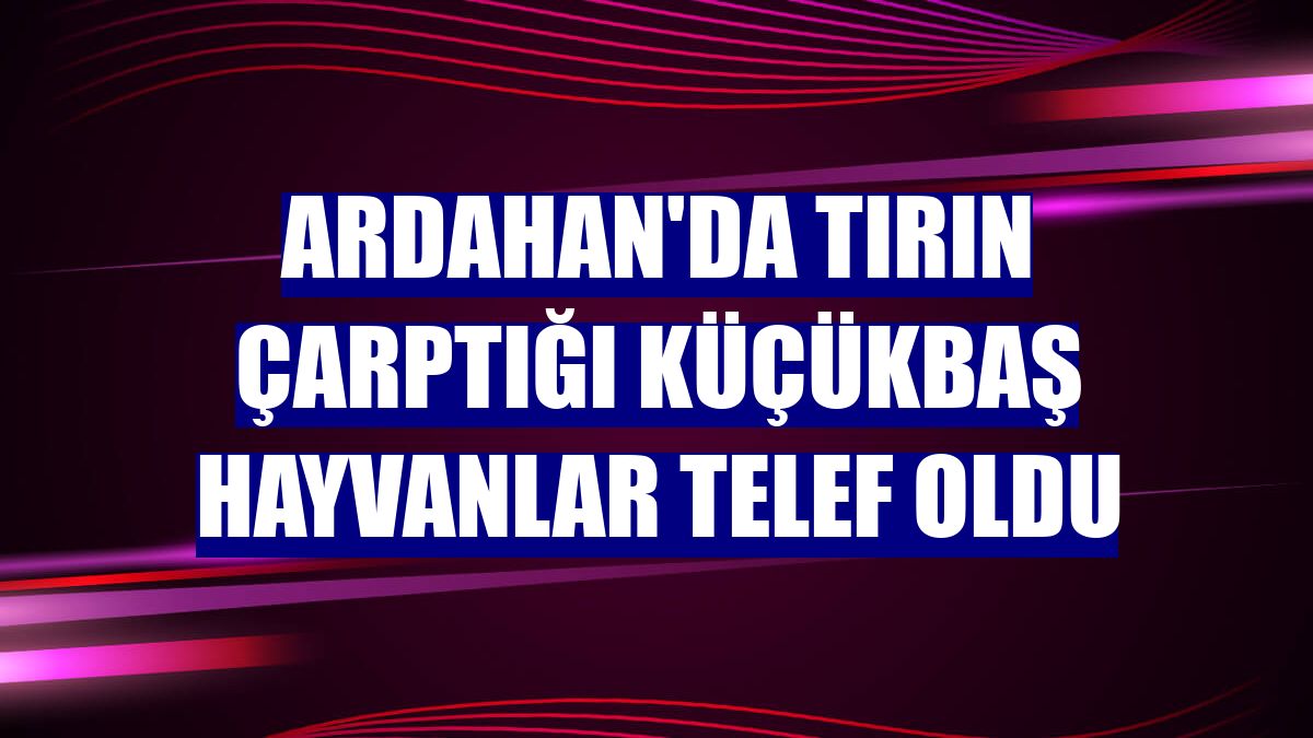 Ardahan'da tırın çarptığı küçükbaş hayvanlar telef oldu