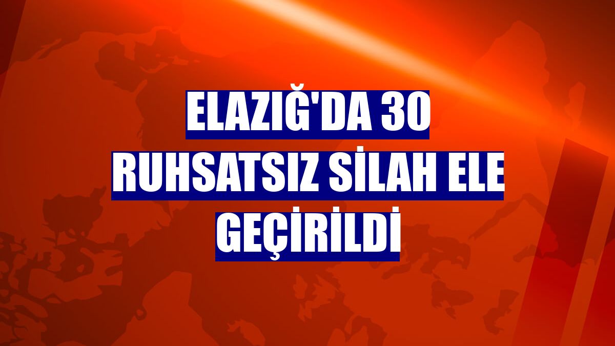 Elazığ'da 30 ruhsatsız silah ele geçirildi