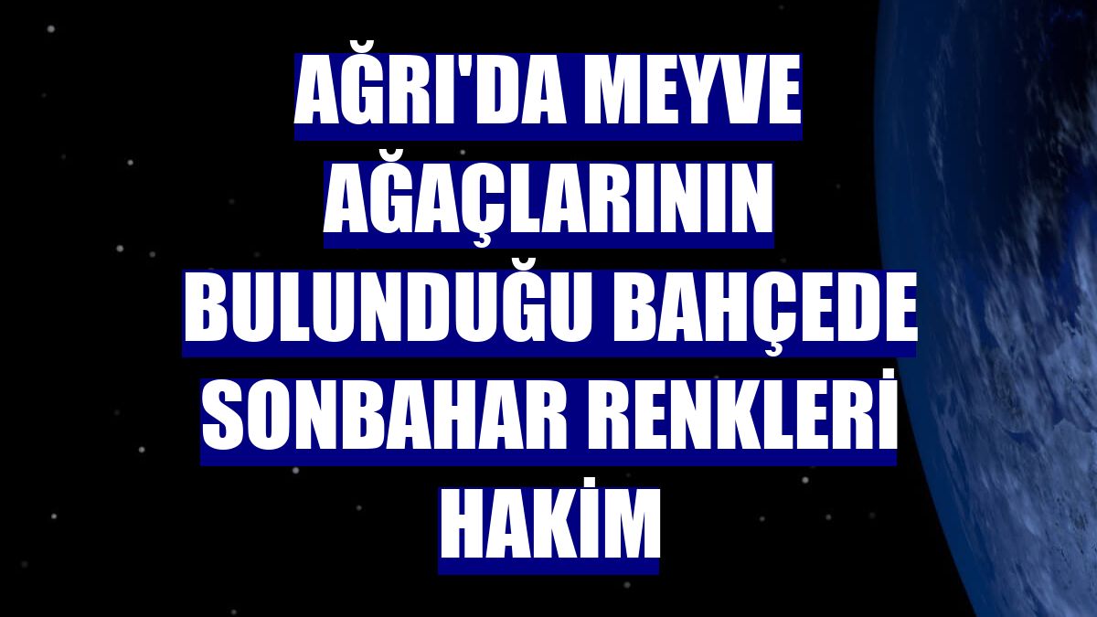 Ağrı'da meyve ağaçlarının bulunduğu bahçede sonbahar renkleri hakim