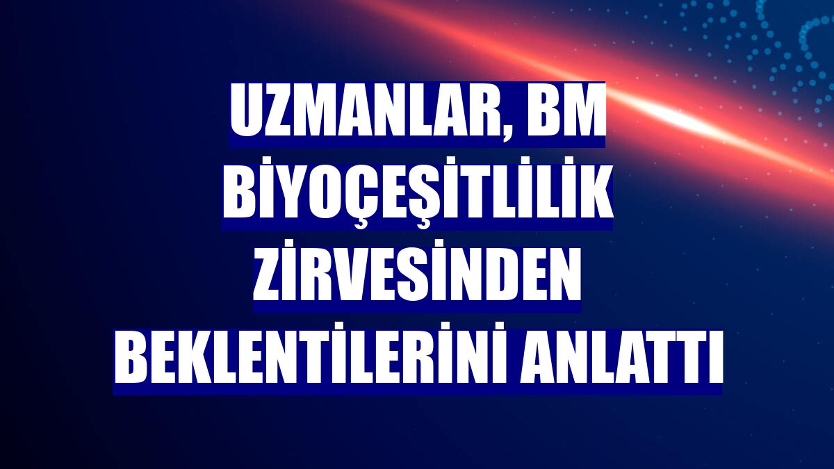 Uzmanlar, BM biyoçeşitlilik zirvesinden beklentilerini anlattı