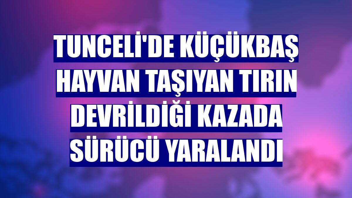 Tunceli'de küçükbaş hayvan taşıyan tırın devrildiği kazada sürücü yaralandı