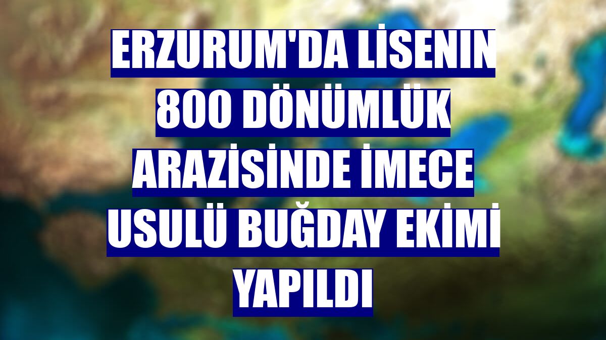 Erzurum'da lisenin 800 dönümlük arazisinde imece usulü buğday ekimi yapıldı