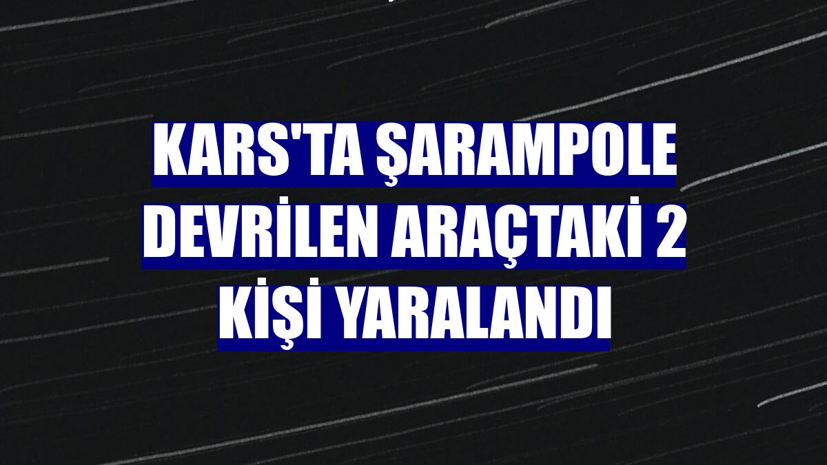 Kars'ta şarampole devrilen araçtaki 2 kişi yaralandı