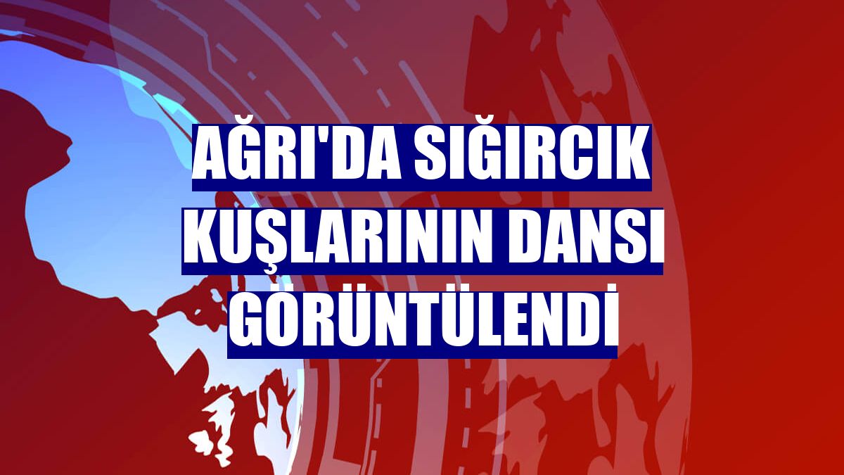 Ağrı'da sığırcık kuşlarının dansı görüntülendi