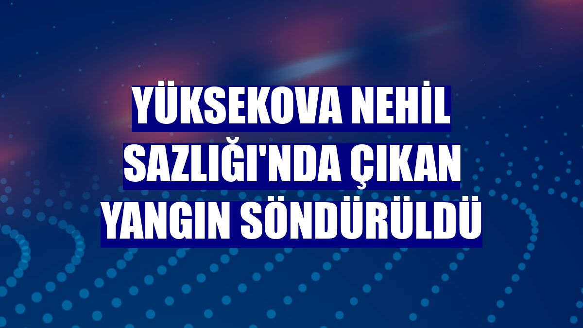 Yüksekova Nehil Sazlığı'nda çıkan yangın söndürüldü