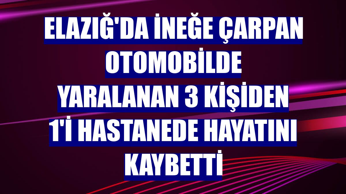 Elazığ'da ineğe çarpan otomobilde yaralanan 3 kişiden 1'i hastanede hayatını kaybetti