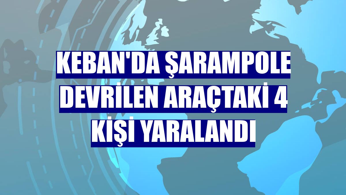 Keban'da şarampole devrilen araçtaki 4 kişi yaralandı