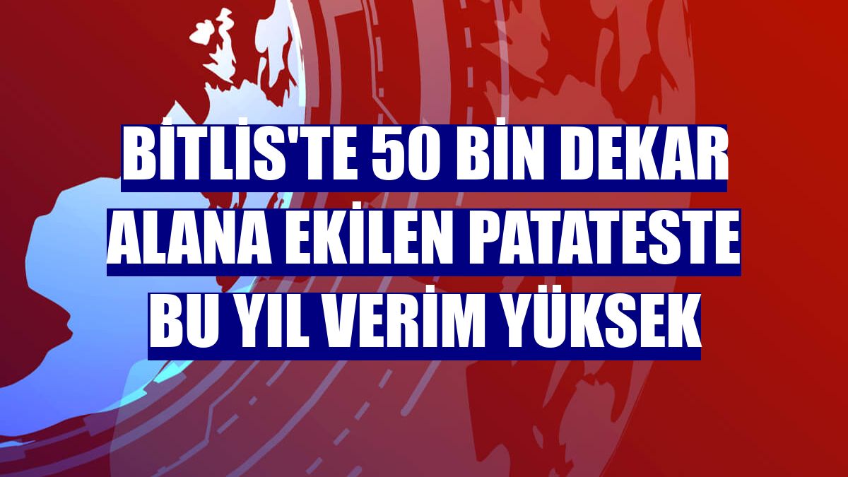 Bitlis'te 50 bin dekar alana ekilen patateste bu yıl verim yüksek