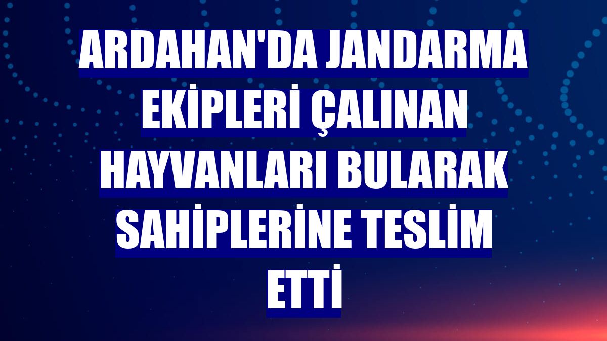 Ardahan'da jandarma ekipleri çalınan hayvanları bularak sahiplerine teslim etti