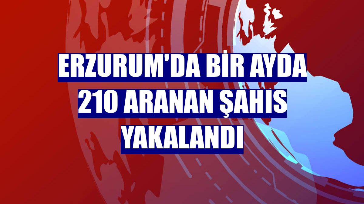 Erzurum'da bir ayda 210 aranan şahıs yakalandı