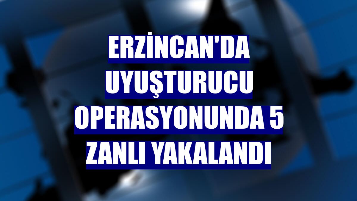 Erzincan'da uyuşturucu operasyonunda 5 zanlı yakalandı