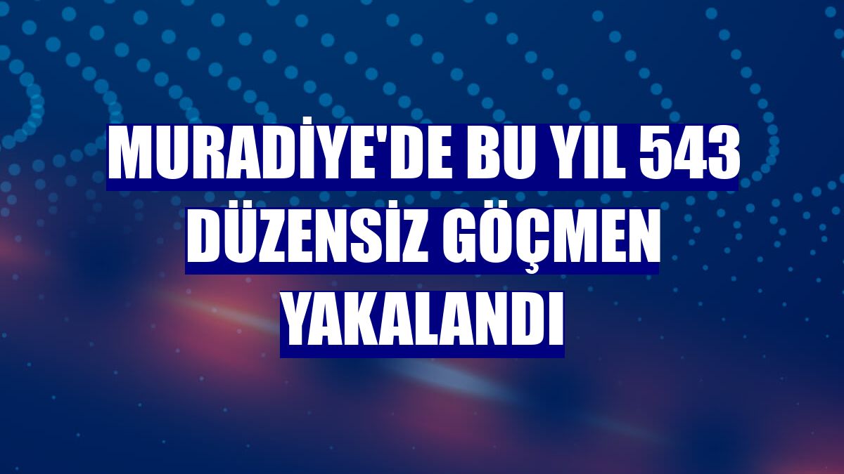 Muradiye'de bu yıl 543 düzensiz göçmen yakalandı