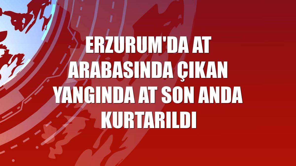 Erzurum'da at arabasında çıkan yangında at son anda kurtarıldı