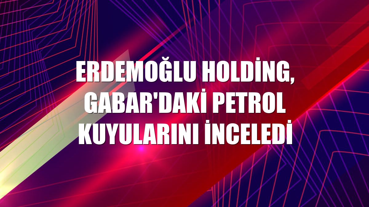 Erdemoğlu Holding, Gabar'daki petrol kuyularını inceledi