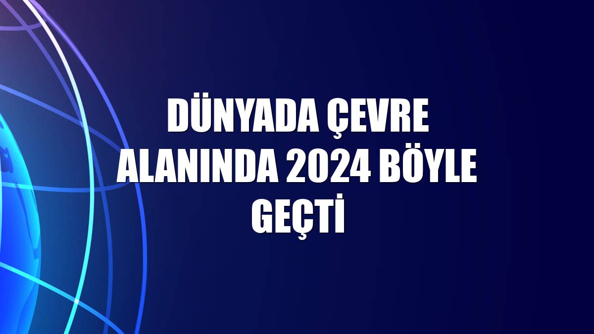 Dünyada çevre alanında 2024 böyle geçti