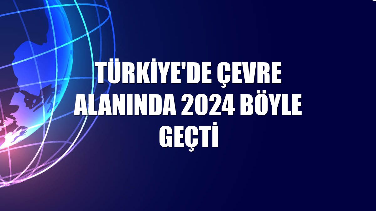 Türkiye'de çevre alanında 2024 böyle geçti