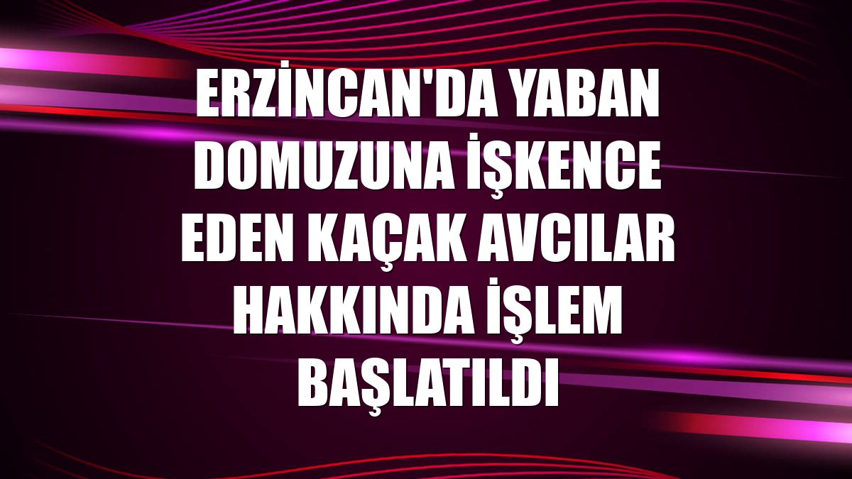 Erzincan'da yaban domuzuna işkence eden kaçak avcılar hakkında işlem başlatıldı