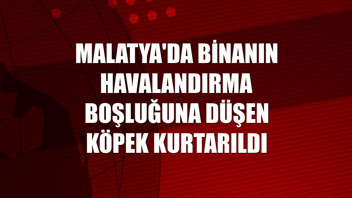 Malatya'da binanın havalandırma boşluğuna düşen köpek kurtarıldı