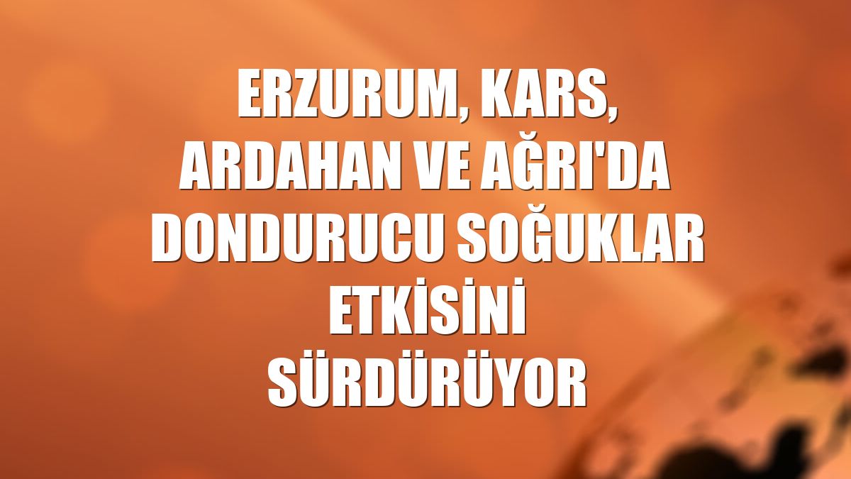 Erzurum, Kars, Ardahan ve Ağrı'da dondurucu soğuklar etkisini sürdürüyor