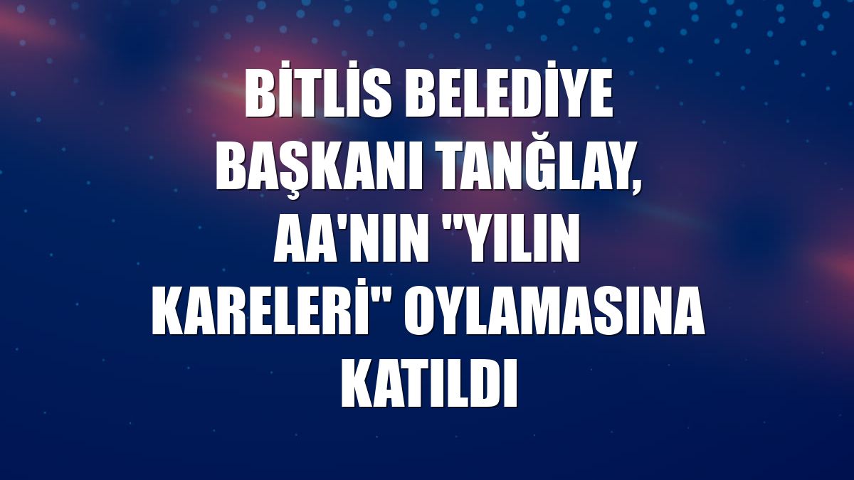 Bitlis Belediye Başkanı Tanğlay, AA'nın "Yılın Kareleri" oylamasına katıldı