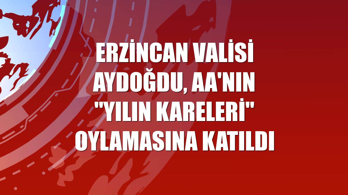 Erzincan Valisi Aydoğdu, AA'nın "Yılın Kareleri" oylamasına katıldı