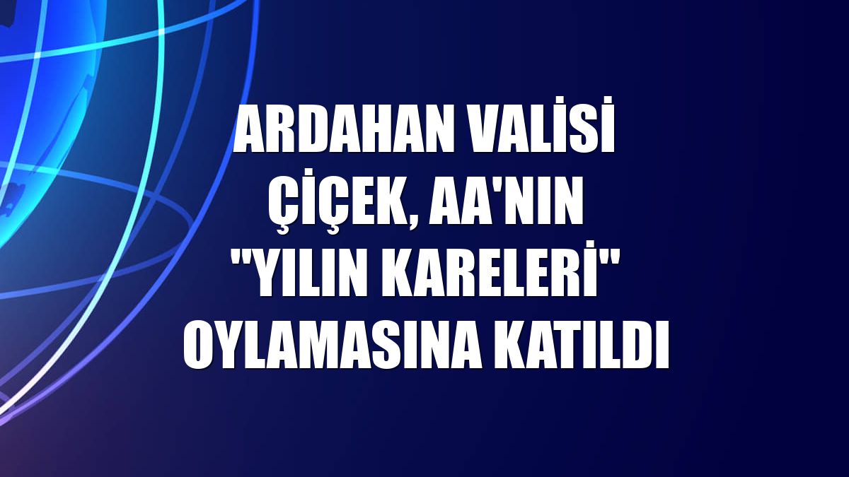 Ardahan Valisi Çiçek, AA'nın "Yılın Kareleri" oylamasına katıldı