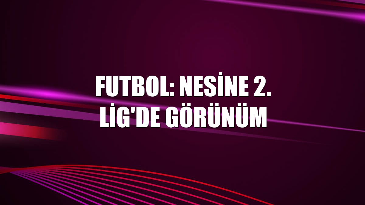 Futbol: Nesine 2. Lig'de görünüm