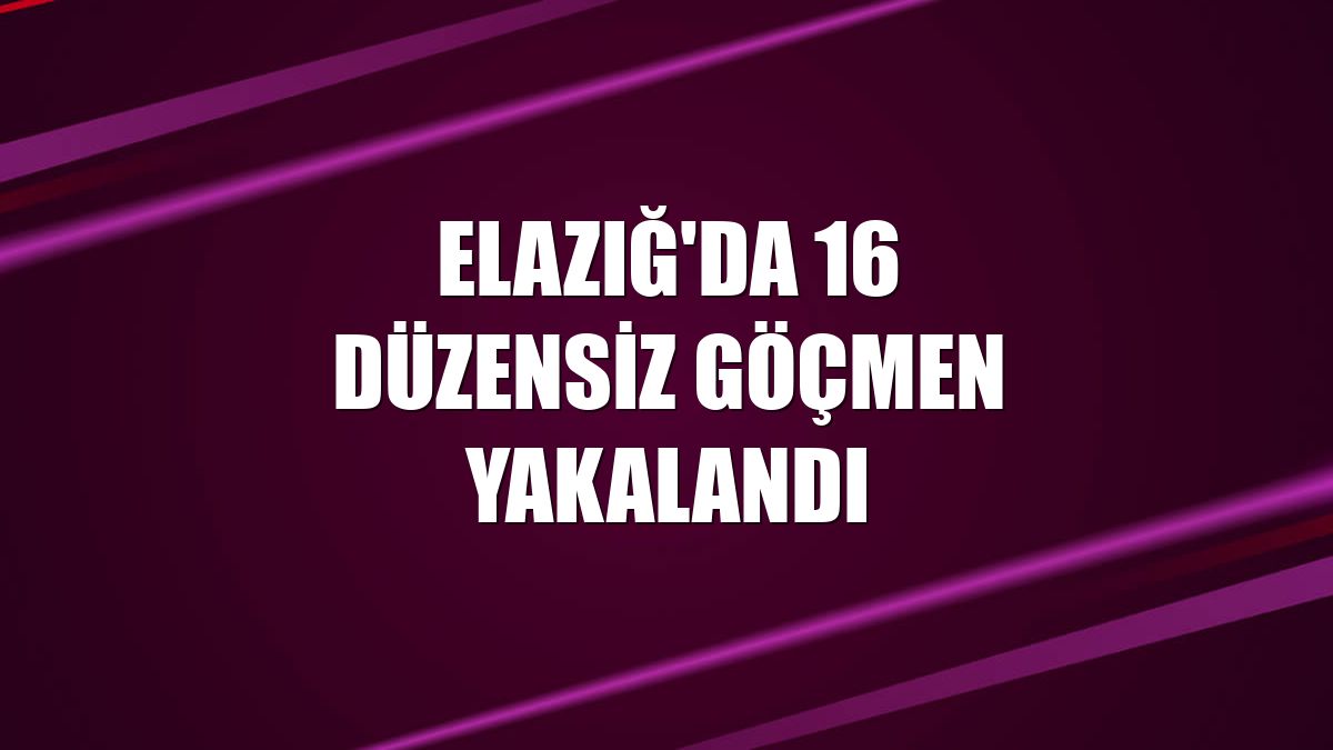 Elazığ'da 16 düzensiz göçmen yakalandı