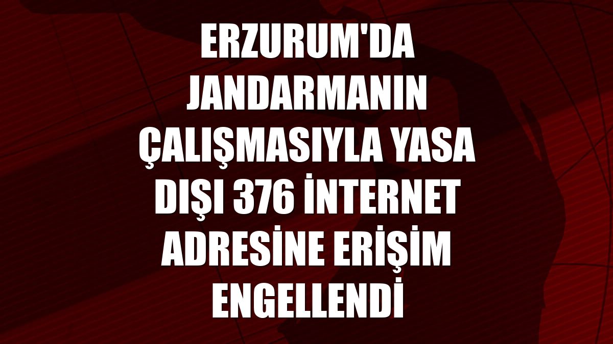 Erzurum'da jandarmanın çalışmasıyla yasa dışı 376 internet adresine erişim engellendi