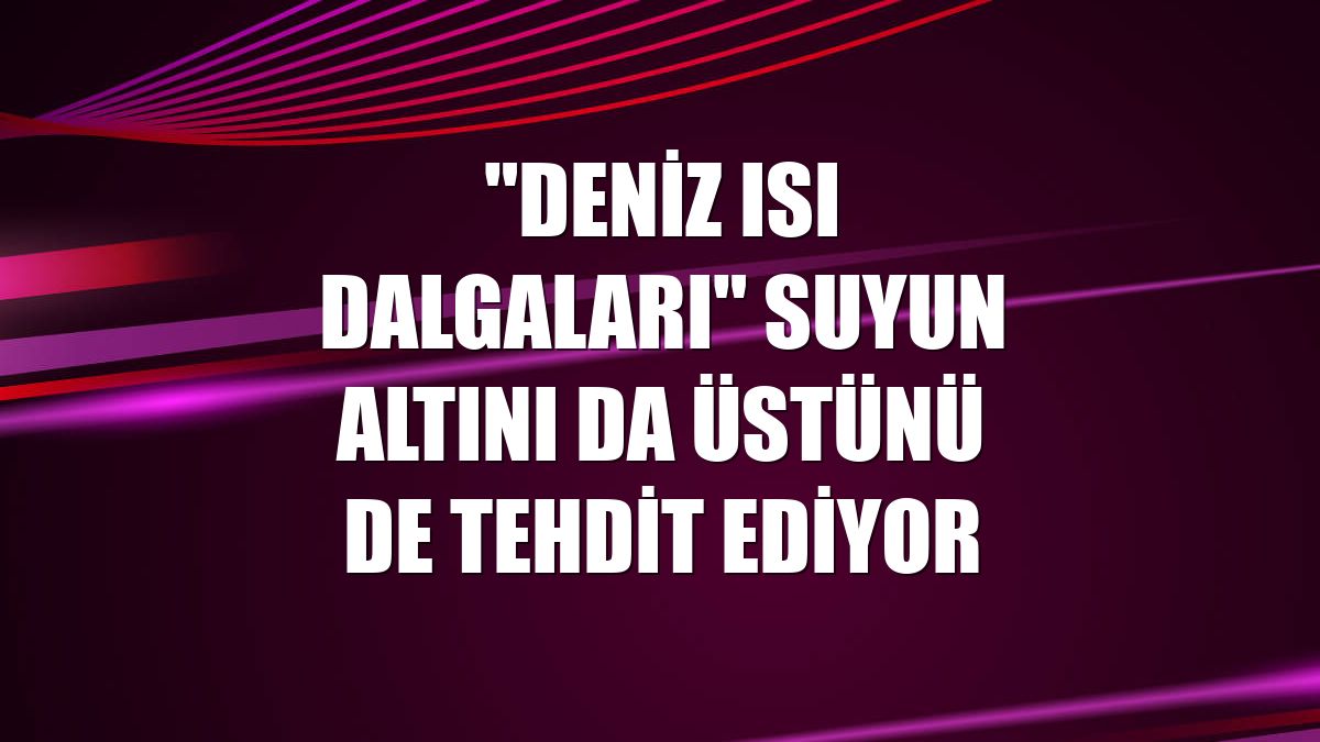 "Deniz ısı dalgaları" suyun altını da üstünü de tehdit ediyor