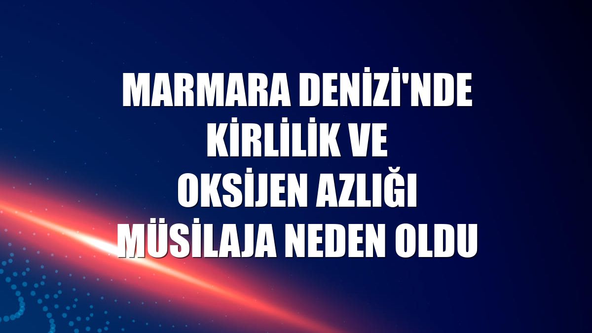 Marmara Denizi'nde kirlilik ve oksijen azlığı müsilaja neden oldu