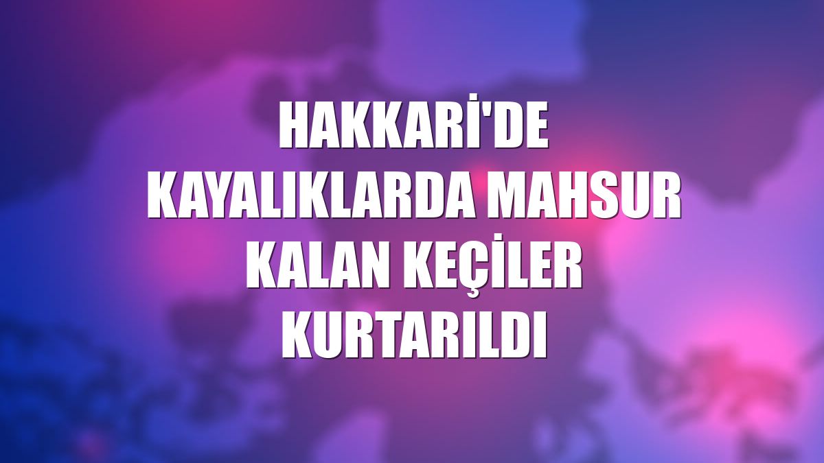 Hakkari'de kayalıklarda mahsur kalan keçiler kurtarıldı