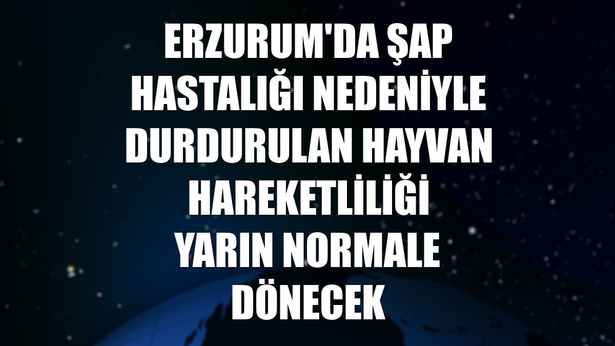 Erzurum'da şap hastalığı nedeniyle durdurulan hayvan hareketliliği yarın normale dönecek