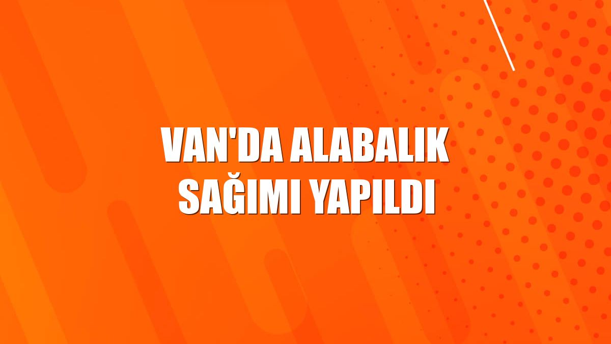 Van'da alabalık sağımı yapıldı