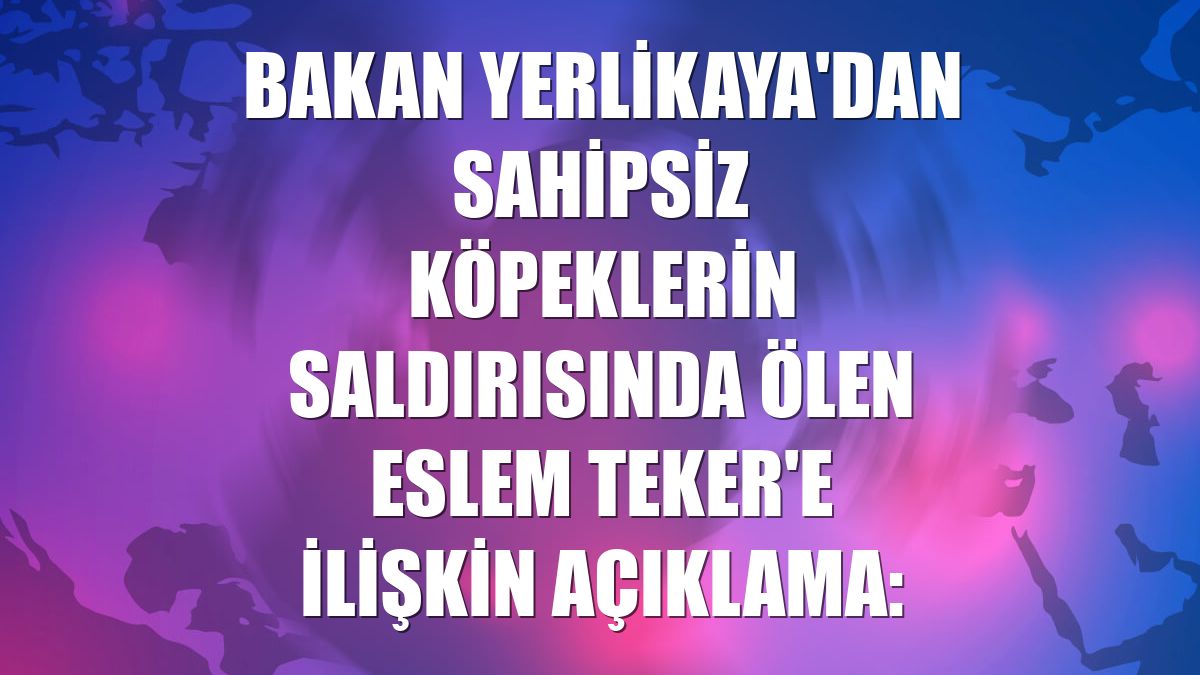 Bakan Yerlikaya'dan sahipsiz köpeklerin saldırısında ölen Eslem Teker'e ilişkin açıklama: