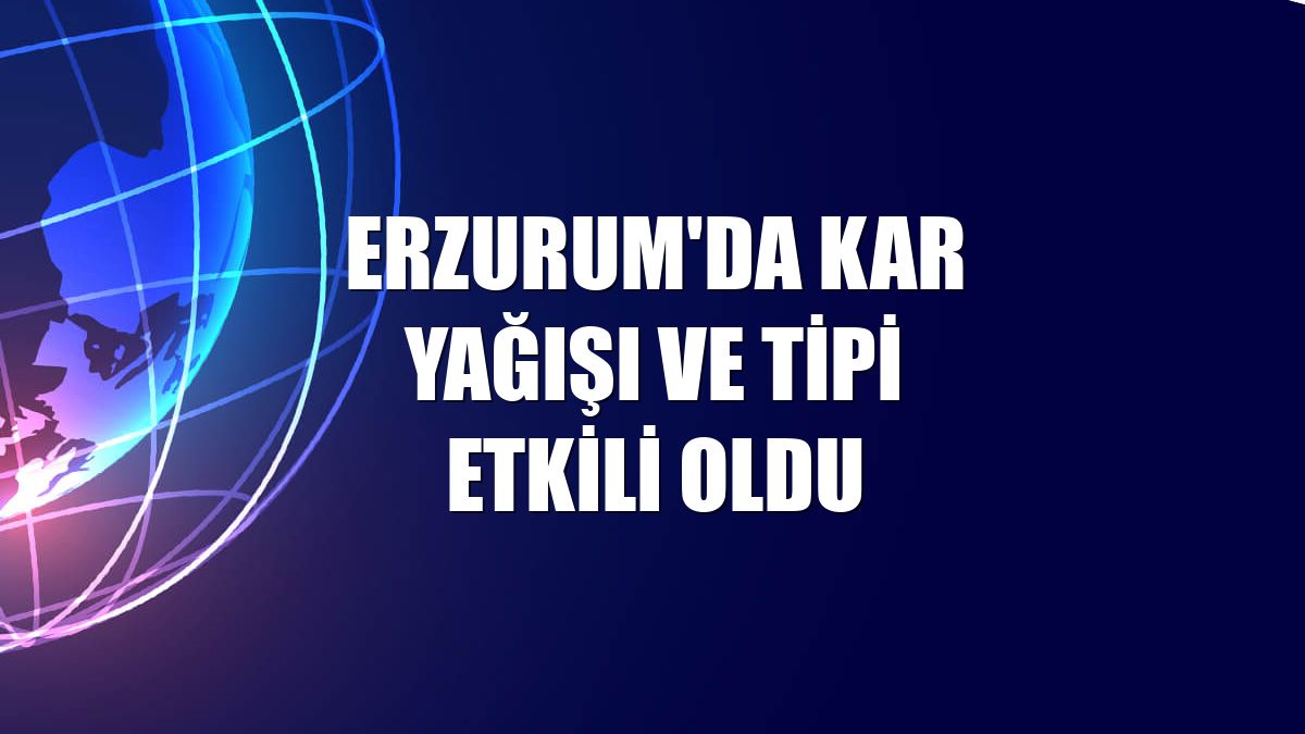 Erzurum'da kar yağışı ve tipi etkili oldu