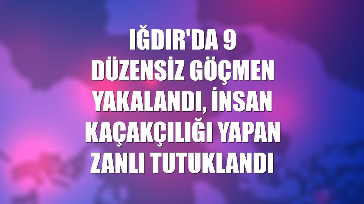 Iğdır'da 9 düzensiz göçmen yakalandı, insan kaçakçılığı yapan zanlı tutuklandı